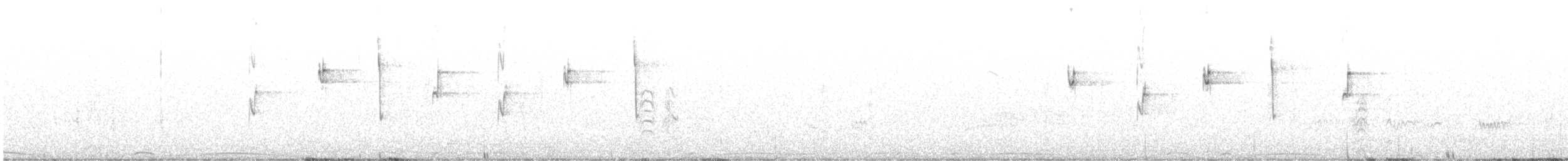 White-vented Violetear - ML613737928