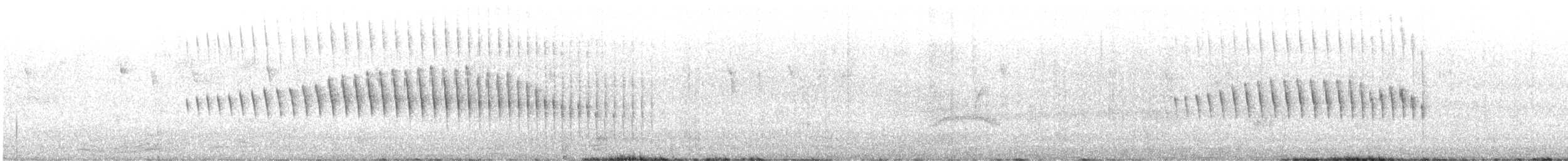 Long-tailed Cinclodes (Cipo) - ML613737962
