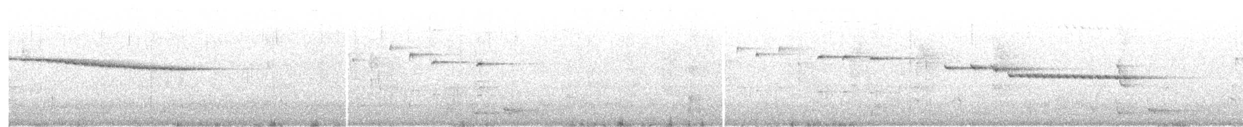 Мангровая веерохвостка - ML613738854