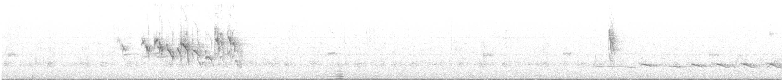 Flankenfleckenspelzer - ML613739331