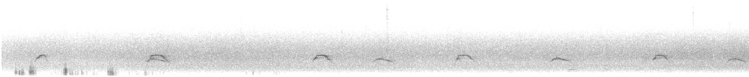 シラギクタイランチョウ（chilensis） - ML613740245