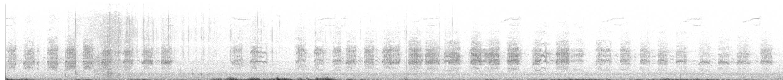 Kahverengi Gerdanlı Papağan [pertinax grubu] - ML613741108