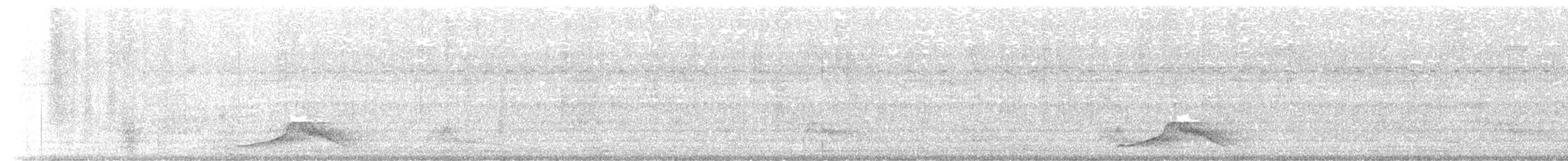 Pauraquenachtschwalbe - ML613745203