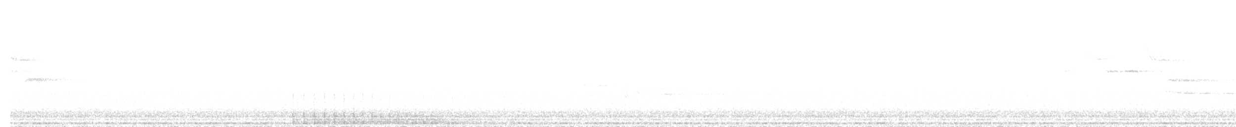 hvitbrynsvartspett - ML613747135