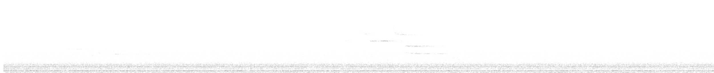Münzevi Bülbül Ardıcı - ML613747149
