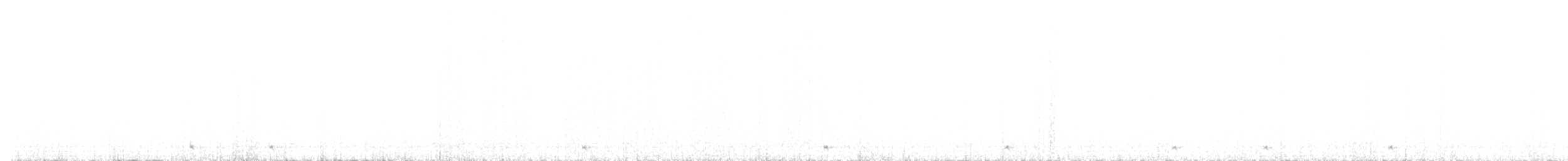 Chevêchette naine - ML613749323