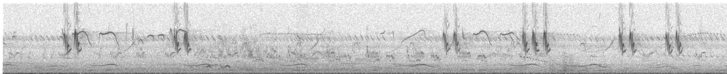 Paddyfield Pipit - ML613750913