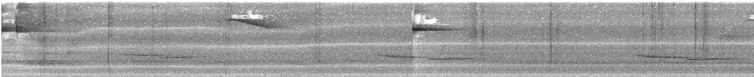Russet-tailed Thrush - ML613751377