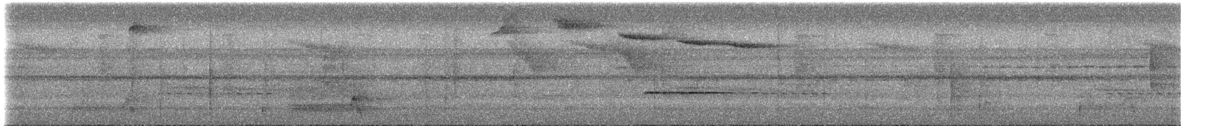 Пестрохвостый колибри - ML613755153