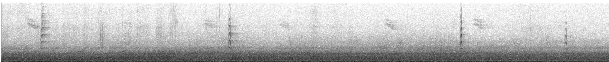 Большой пегий зимородок - ML613755592