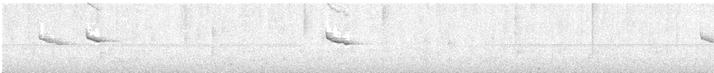 Gray-cheeked Warbler - ML613757215
