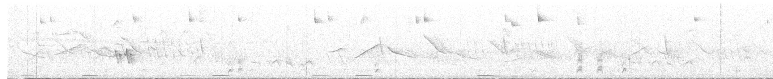 holoubek šedomodrý - ML613764204