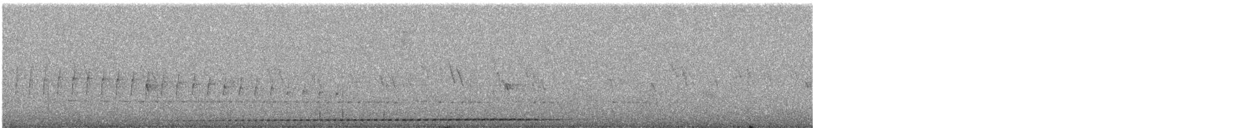 Grallaire ondée - ML613765962