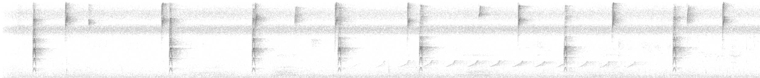 stripetyrann - ML613767163