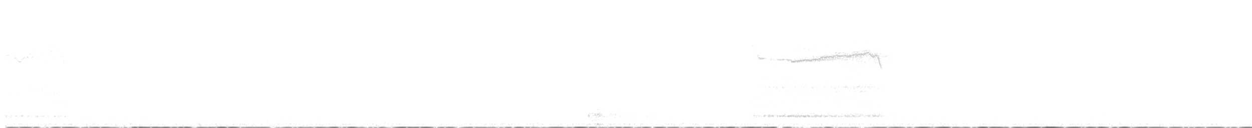 Сипуха крапчаста - ML613769011