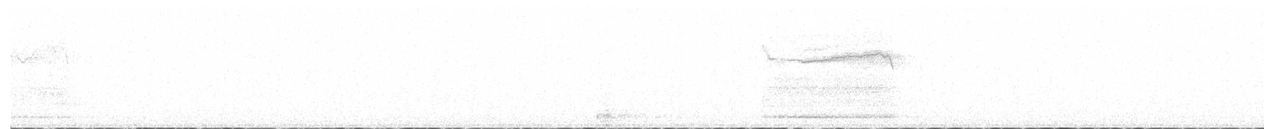 Сипуха крапчаста - ML613769066