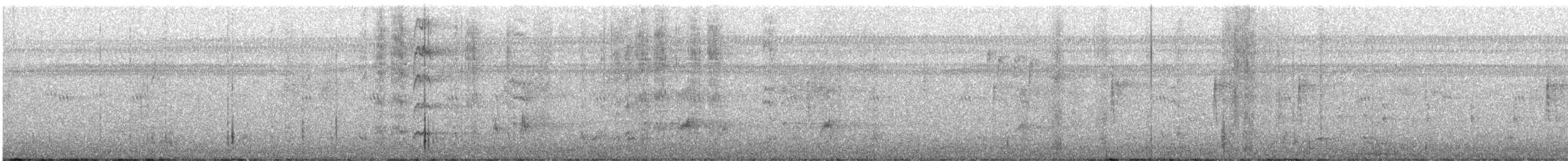 Nutting's/Salvadoran Flycatcher - ML613773156