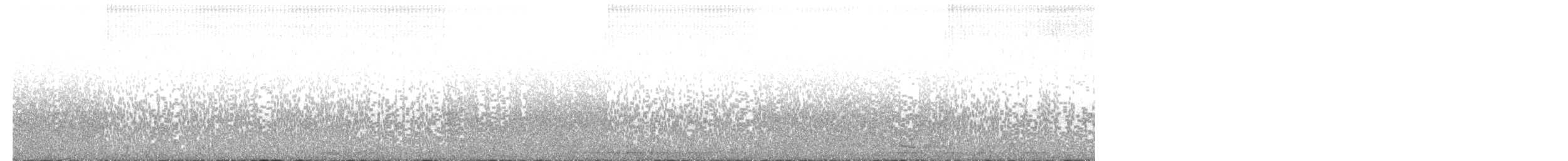 puštík západní (ssp. caurina) - ML613773978