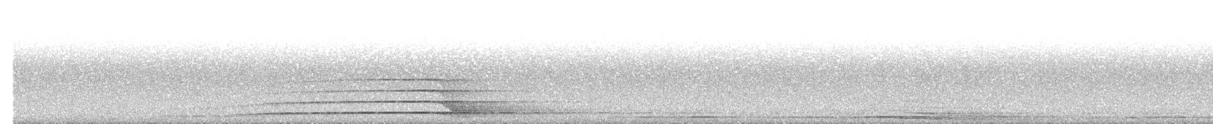 ニシアメリカフクロウ（caurina） - ML613774807