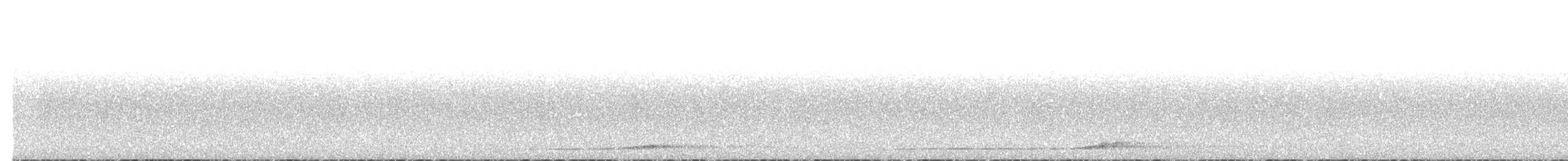 ニシアメリカフクロウ（caurina） - ML613775751