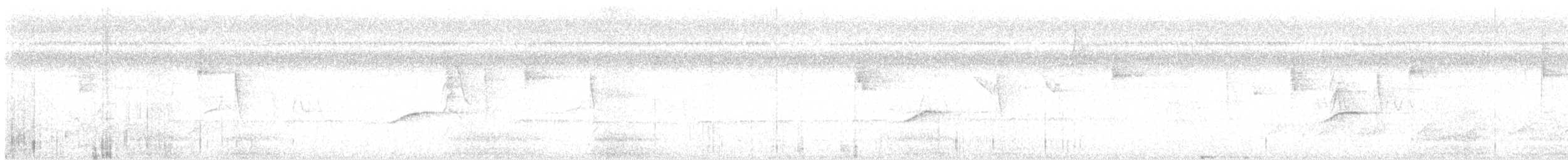 kakaotreløper - ML613779160