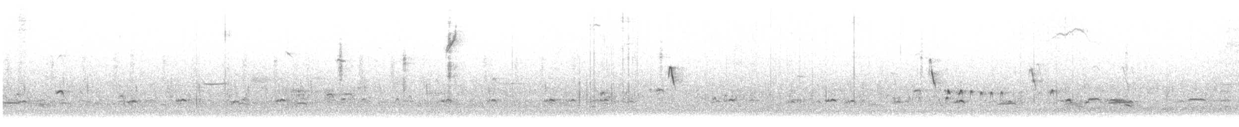 Green-winged Teal - ML613779762