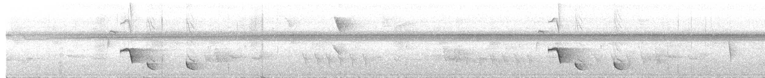 Long-billed Wren - ML613781954