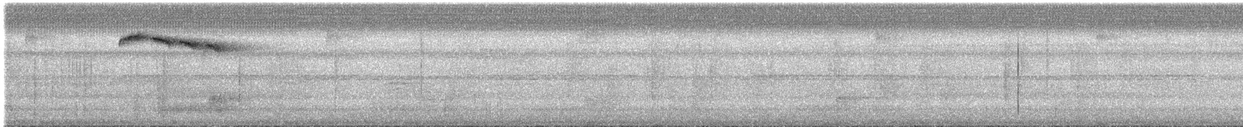Пестрохвостый колибри - ML613782653