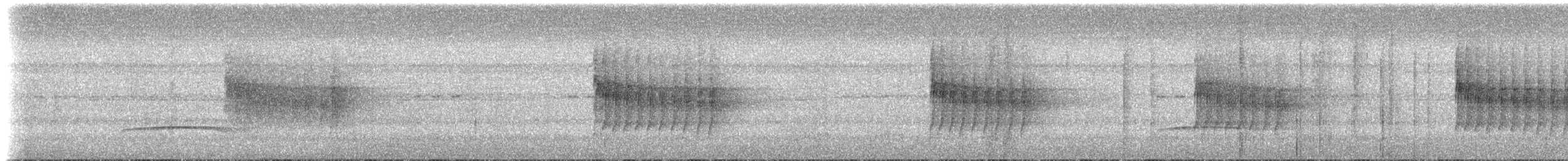 Dreibinden-Ameisenvogel - ML613782970