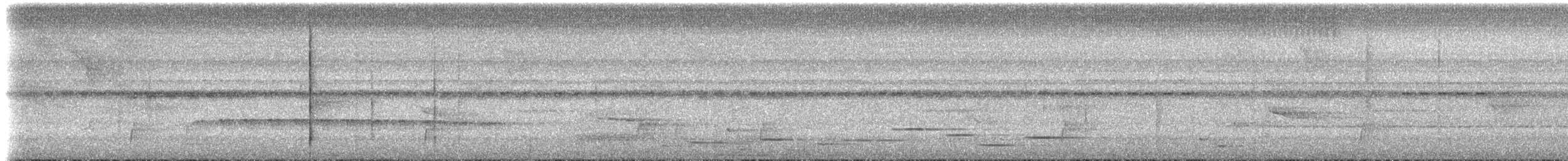 Musician Wren (Gray-eared) - ML613784053
