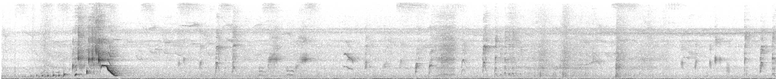 セアカオオツリスドリ（angustifrons グループ） - ML613784169