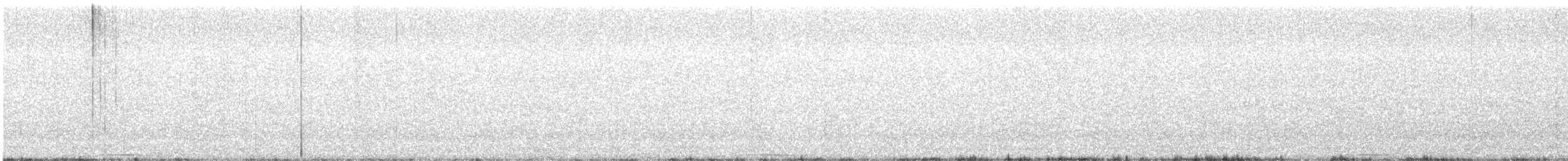 Çizgili Bıldırcın Kumrusu - ML613785633