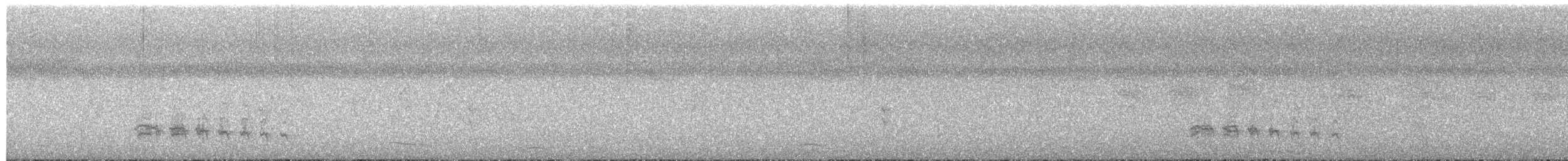 svartkuttemaurvarsler - ML613787162