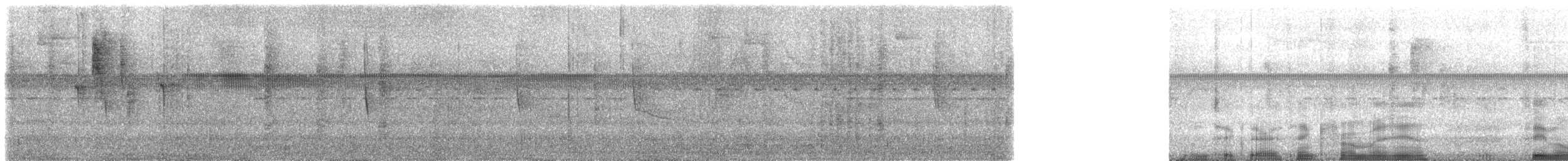 Колібрі-голкохвіст чубатий - ML613787925