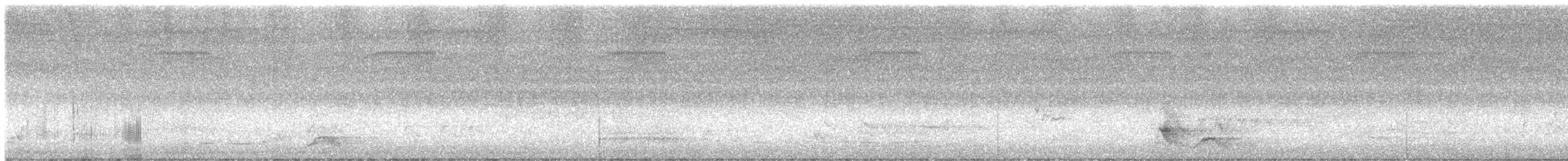 Spotless Crake - ML613789737