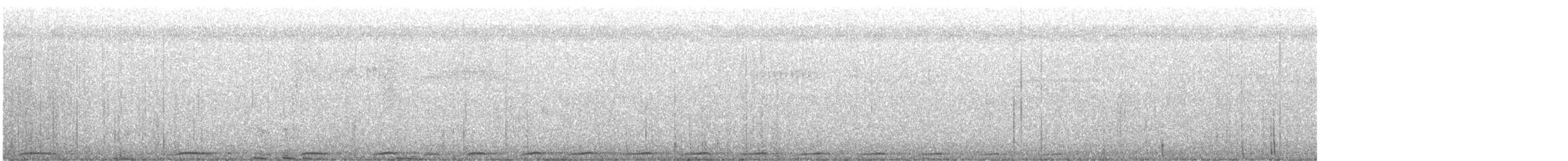 holub tonžský - ML613791719