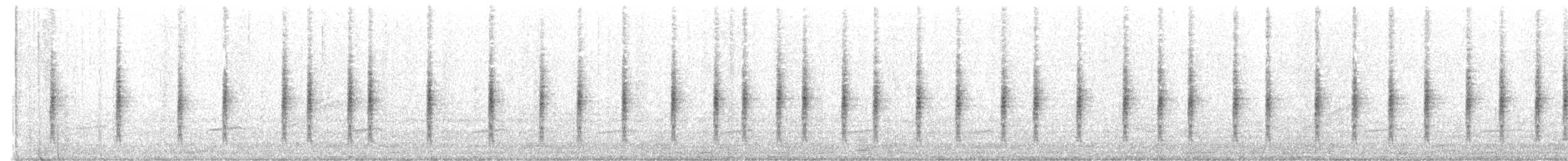 Куцокрил яванський (підвид montis) - ML613798141
