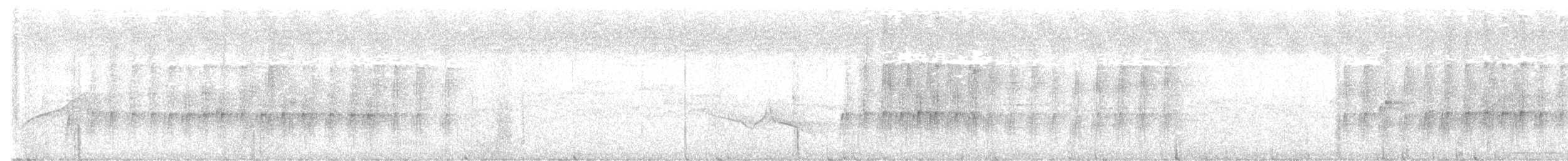 Cimitarra Dorsicastaña (montanus/ottolanderi) - ML613798213