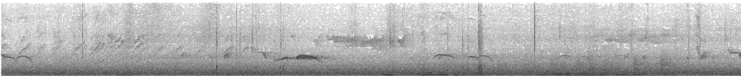 ヒマラヤダルマエナガ - ML613798718