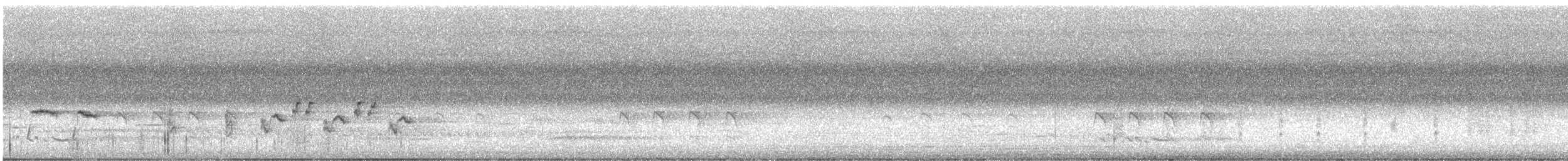 Australian Reed Warbler - ML613798796