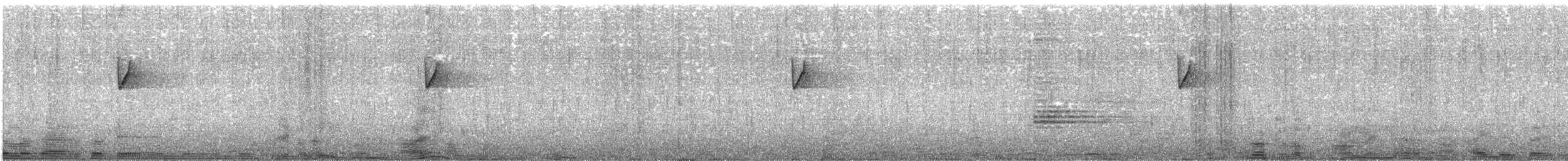 クリガシラコビトサザイ - ML613798842