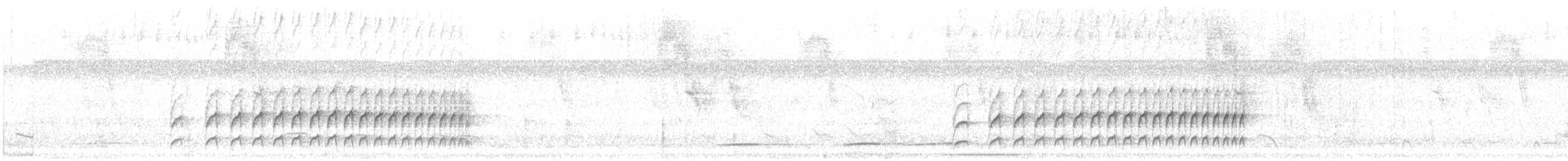 Graubrust-Dickichtschlüpfer - ML613800462