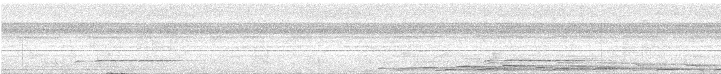 Timalie à front roux (groupe rufifrons) - ML613800772