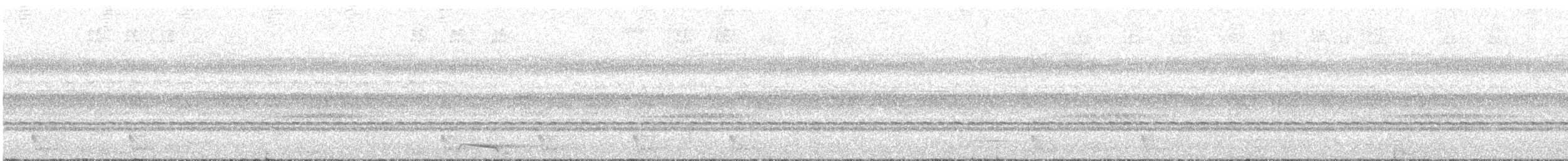 Halsband-Zwergohreule - ML613802502