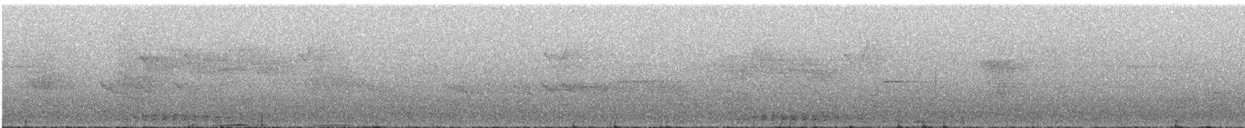Серый павлиний фазан - ML613802965