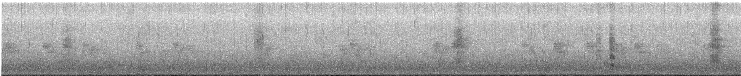 Magellandrossel (magellanicus/pembertoni) - ML613802970