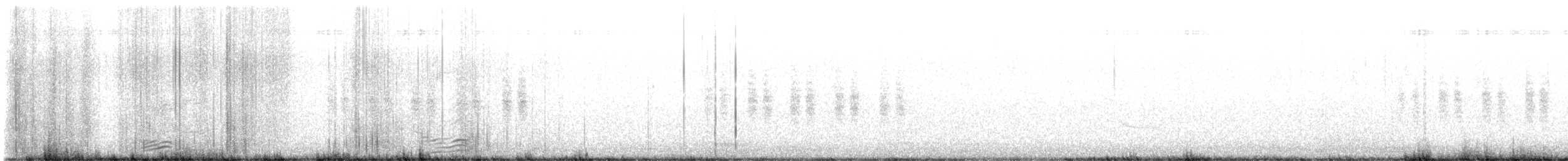 Black-tailed Gnatcatcher - ML613810013