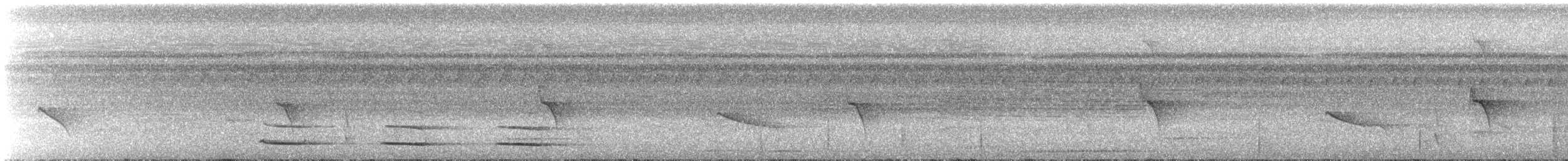 Kuzeyli Kara Gerdanlı Trogon - ML613810269