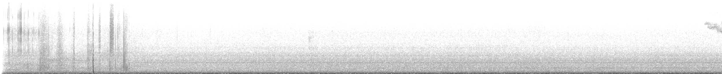 Тауї плямистий - ML613810937