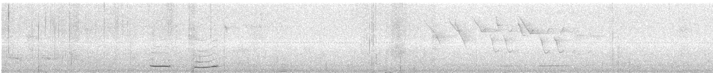 Мурашниця білогорла - ML613811285